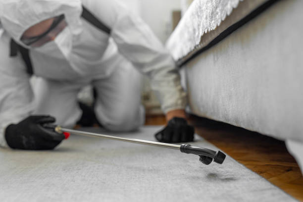 Professional Bed Bug Control technician working in Ligonier, IN